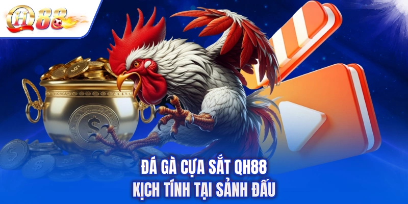 Đá gà cựa sắt QH88 kịch tính tại sảnh đấu