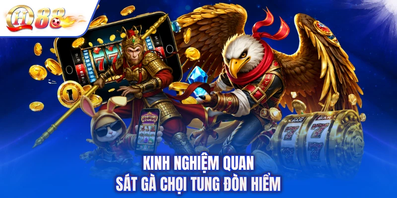 Kinh nghiệm quan sát gà chọi tung đòn hiểm